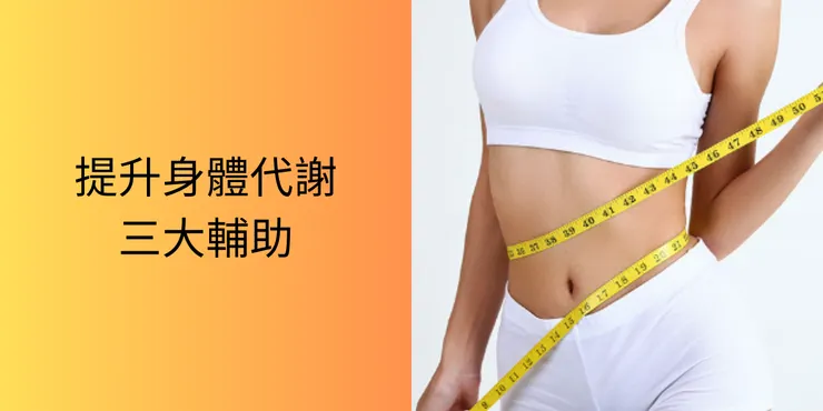 身體代謝三大輔助