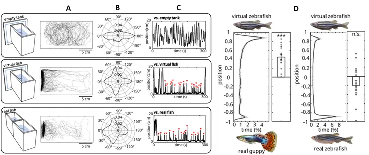 圖三：虛擬魚真的能吸引真魚！ (Tsao et al. 2025)