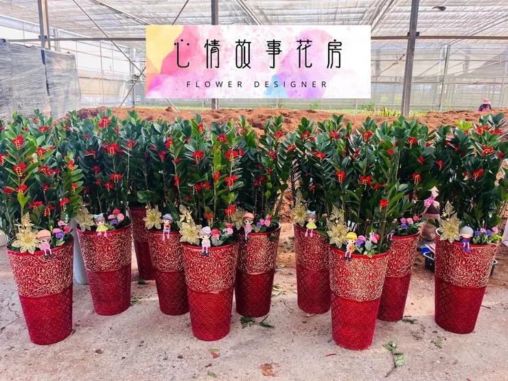 台南花店 心情故事花房 台南送花 台南蘭花專賣 台南盆栽推薦 台南花卉批發 台南企業花藝供應 台南醫院花束 台南花藝設計 快速送花服務 台南花藝推薦 優質花店服務 台南便宜花店 花卉配送台南 台南花店推薦 台南鮮花速遞 台南企業指定花店 台南花店電話 花藝佈置台南 台南機關指定花店