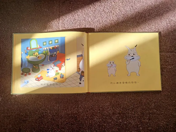 《球球和哥哥》