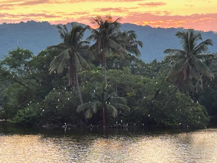 高雄美術館．內惟埤湖畔