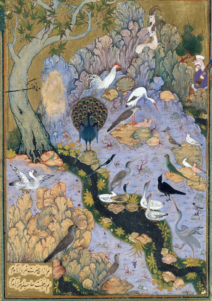 https://fr.wikipedia.org/wiki/La_Conf%C3%A9rence_des_oiseaux#/media/Fichier:%22The_Concourse_of_the_Birds%22,_Folio_11r_from_a_Mantiq_al-tair_(Language_of_the_Birds)_MET_DT227734.jpg 