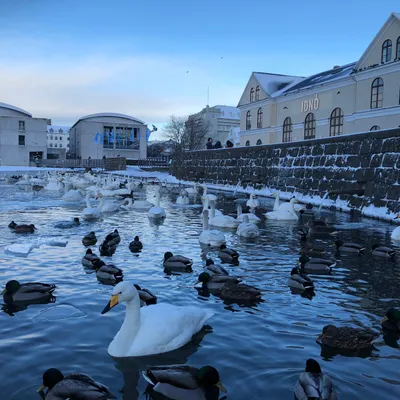 老K的賭注的沙龍