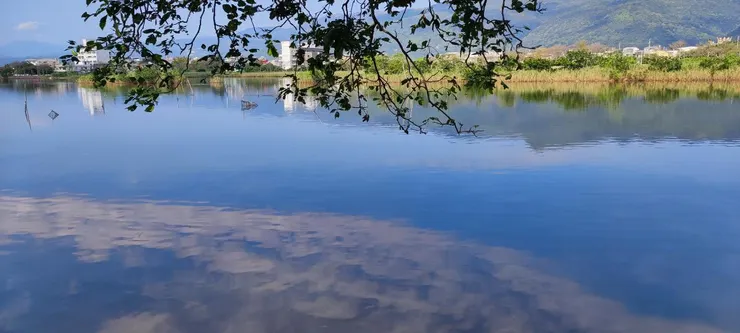 圖片來源：安奇珮奇隨手拍