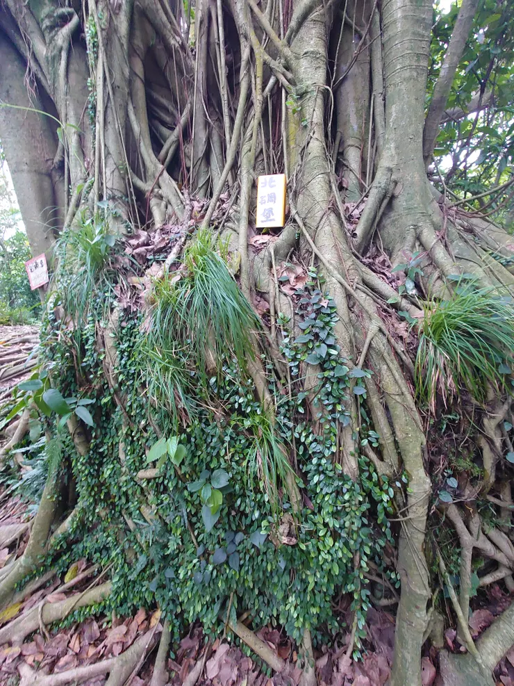 碉堡外觀還給大自然