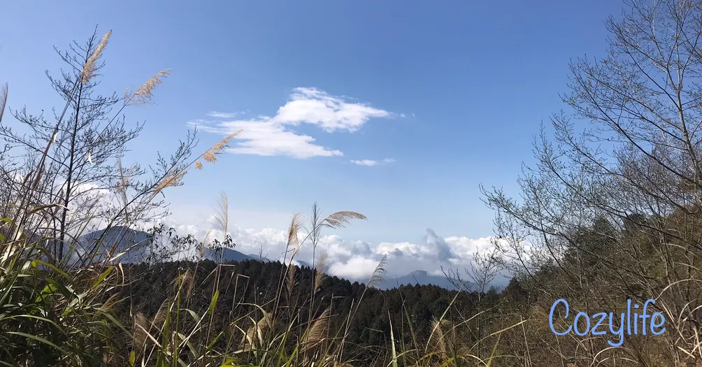 慵懶生活的擁護者的沙龍