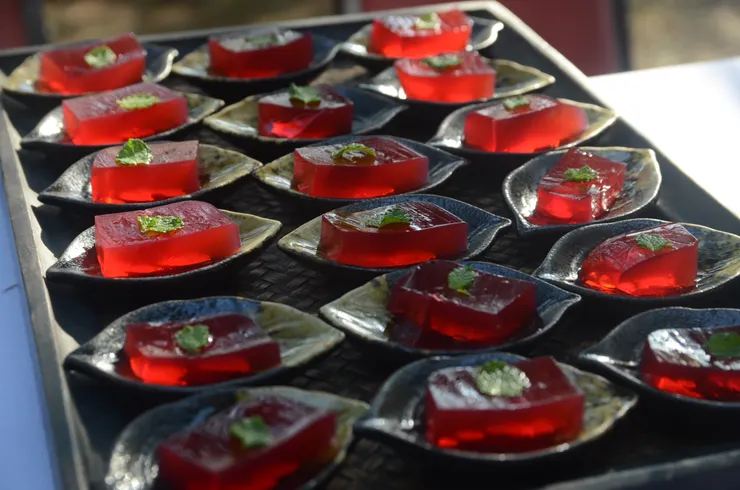 春陽之下 閃閃發光如琥珀的 扶桑花果凍