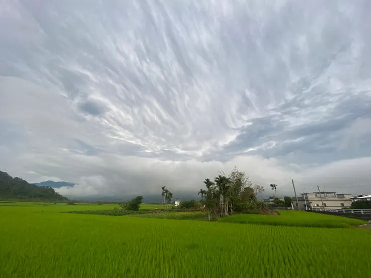 霧漫池上，低垂的雲霧，向我侵逼