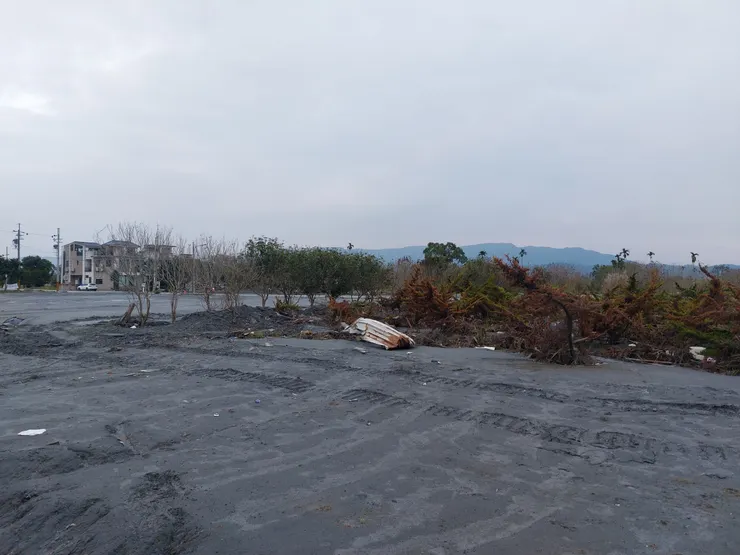 疑似還沒復原的景觀植物商家 / 資料來源：我自己