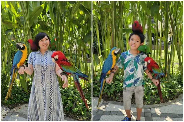 Bali Bird Park