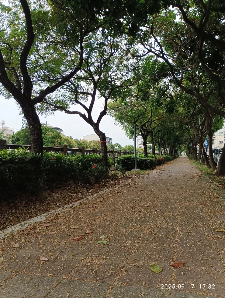 亂葉紛落淹堤徑