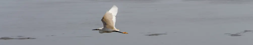 在南方的黃昏裡遇見夕陽的沙龍