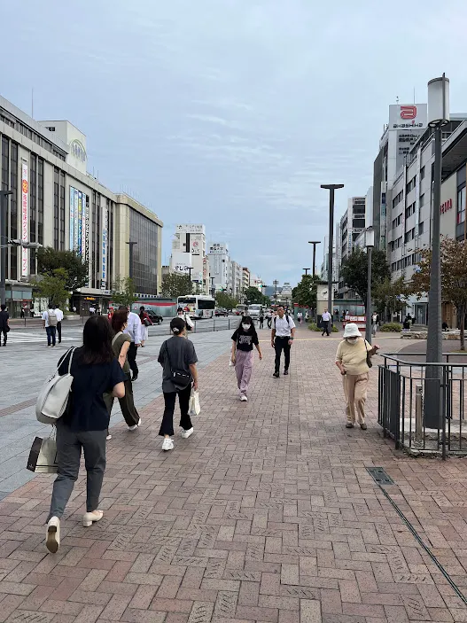 遠方那個看的到的城就是姬路城，這麼遠也看的清輪廓可見有多厲害