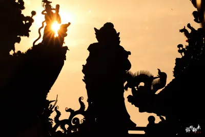 Taiwan Villager 鄉野鄙夫 