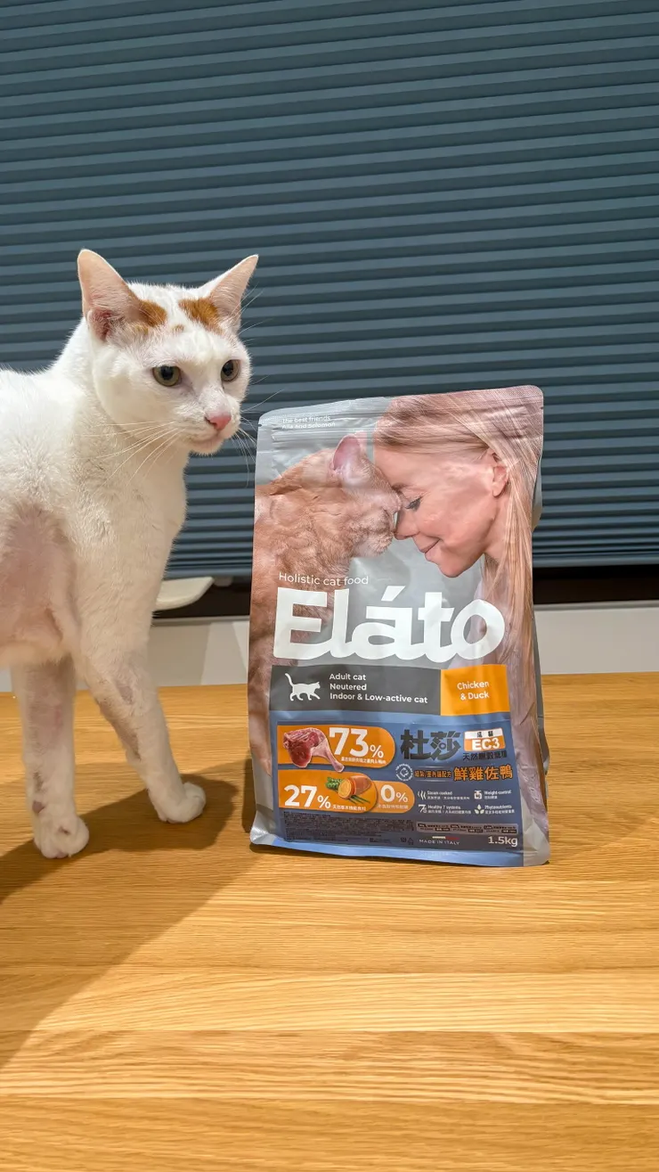 遇到我們家這隻會過敏的糯米，飼料真的不能亂挑。