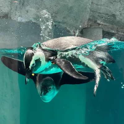 嘿！嘻瑞的沙龍