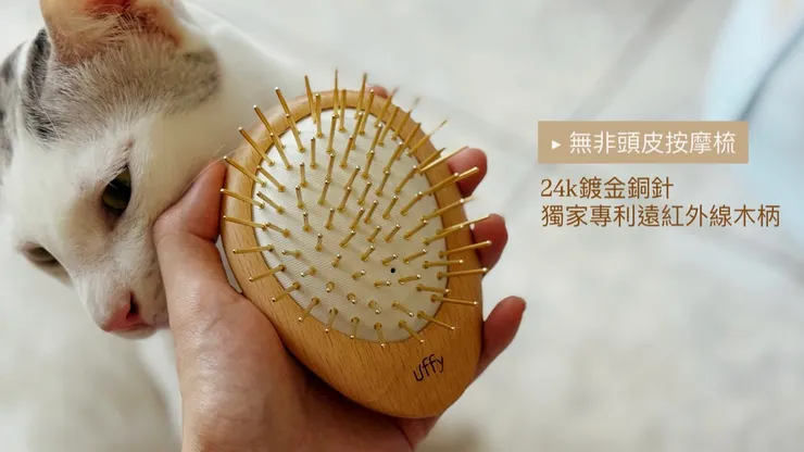 購買處：頭皮按摩梳