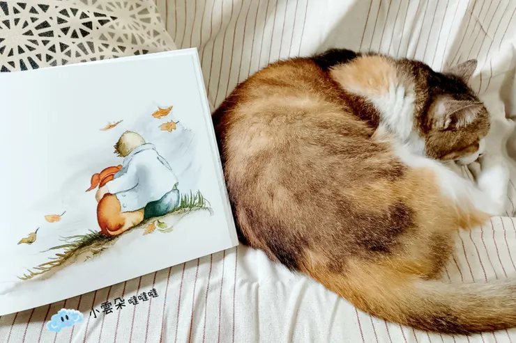 小男孩漸漸長大，阿雅漸漸變老