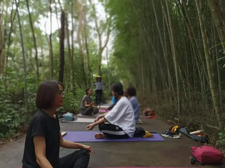 森林裡的瑜伽課/如同回到大自然的懷抱。