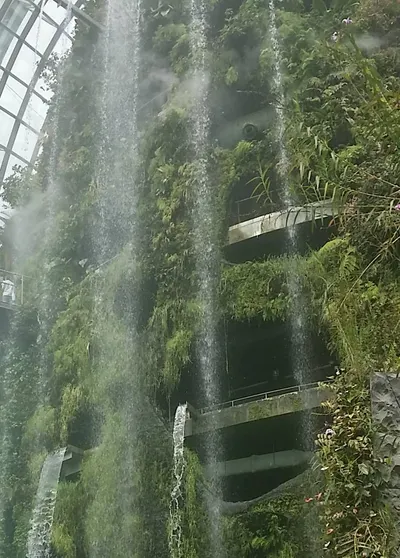 職場貓型人的日常手札