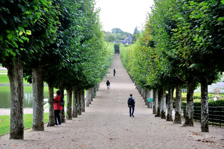 【樹籬線切割視野又提供憩息涼陰】