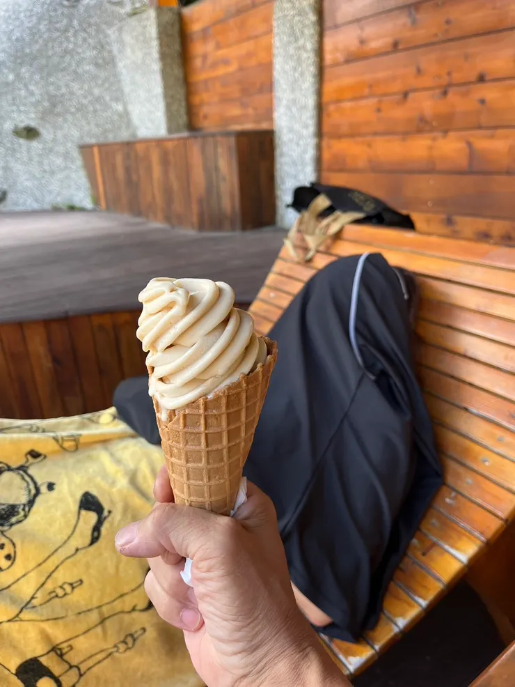 冰淇淋後的怪怪女就是我