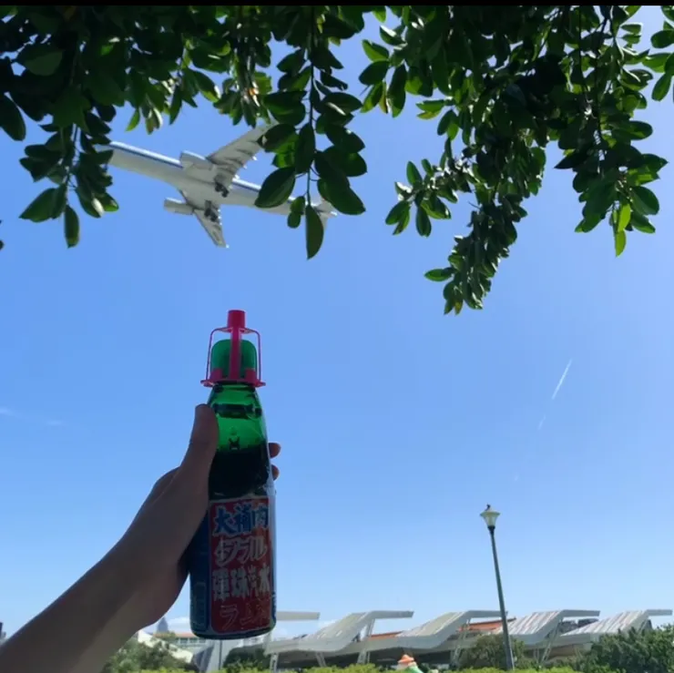 沒有飛機已經很美，飛機飛過「原來更美啊」！