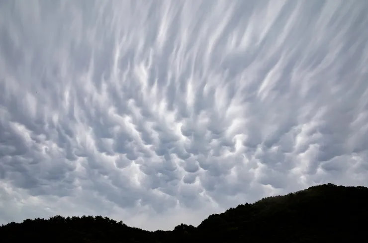 颱風過後的奇異天象