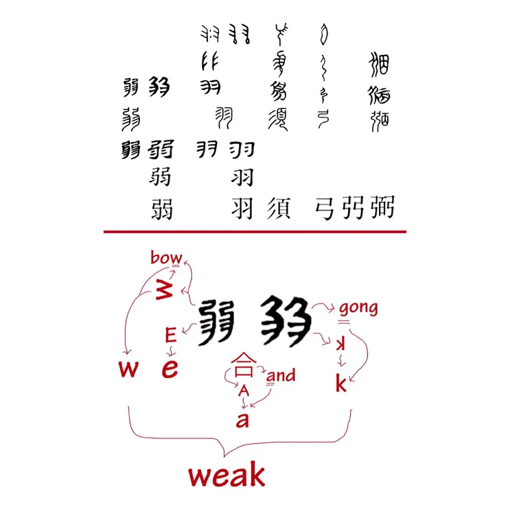 【附圖：「弱、羽、須、弓、弜、弼」字形演化及 weak 與「弱」的橋接分析】