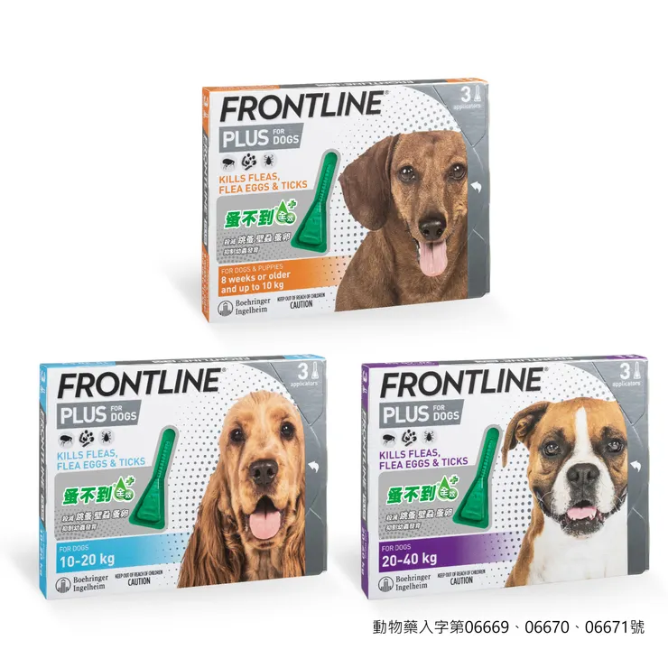 「找不到」很重要，家裡養狗就知道