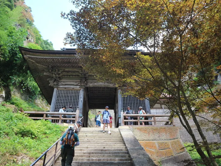 雄偉的仁王門,旁邊有顆轉黃的楓樹