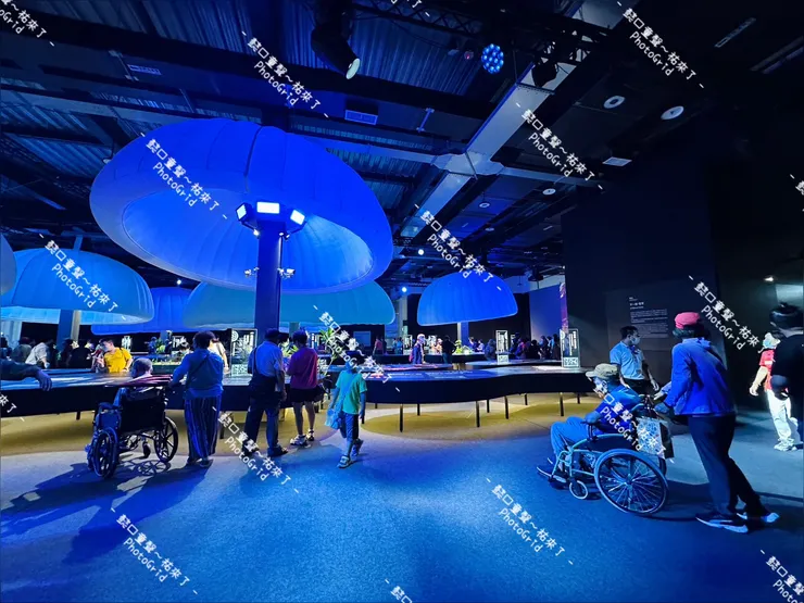 這日很多輪椅族跟我們擦身而過，無障礙的共融環境才能讓更多人走出去。