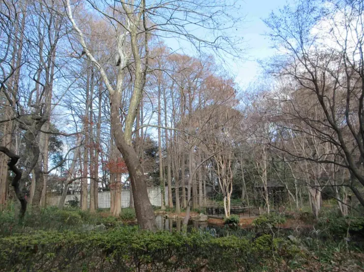 林試の森公園一隅