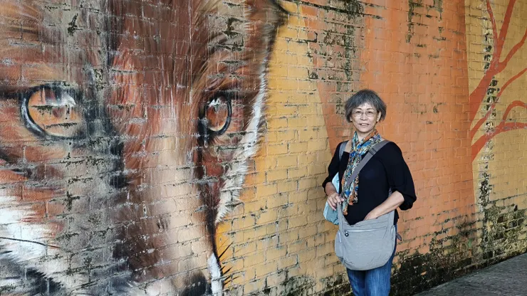 【往安特衛普-貝爾克姆車站鐵軌下過道牆的塗鴉，這裡的算漂亮。】