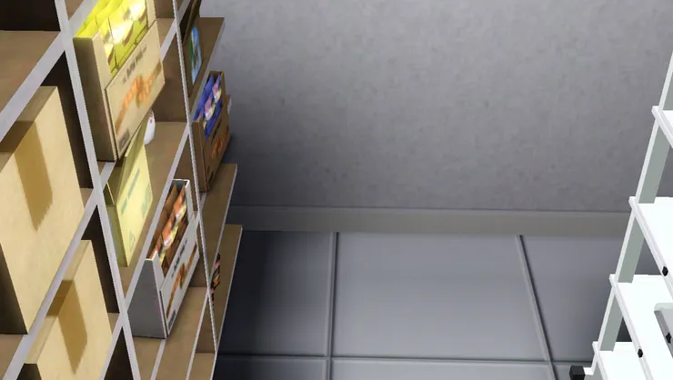 這裏的地板沒有鋪大理石，而只是普通的磁磚。