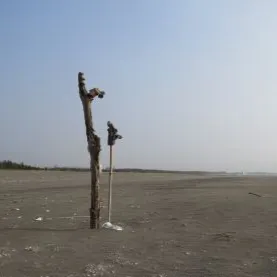 Gabriel Chen的沙龍