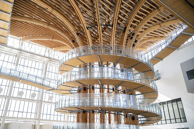 1F 灣島廣場 樹下生活