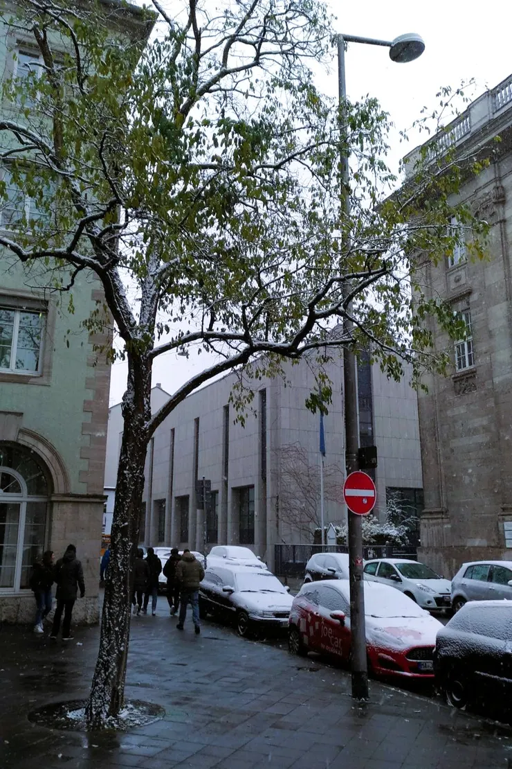 Staatliche Hochschule  fur Musik und Darstellende Kunst Mannheim 曼海姆音樂與表演藝術大學前街道