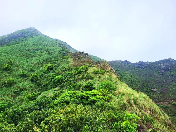 前方最高點即為381峰，扺達兩稜交會點後，果然下了場不算小雨，倉皇小心下劍龍稜，結束本日行程。