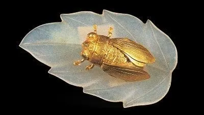 資料整理：【瑣羅雅】&【Jenna】