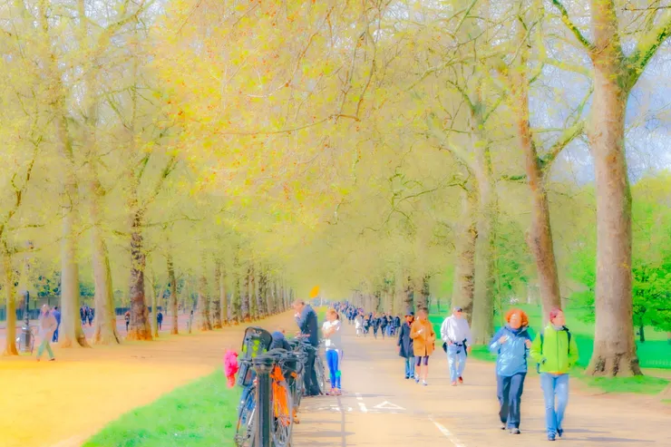 白金漢宮旁的人行走道