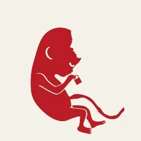 暫時還不是。林茉莉的沙龍