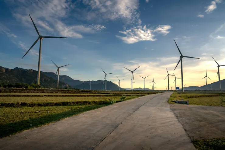 Photo by Quang Nguyen Vinh on Pexels