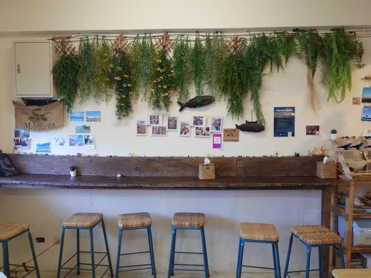 店內空間不大，可是佈置得很好看