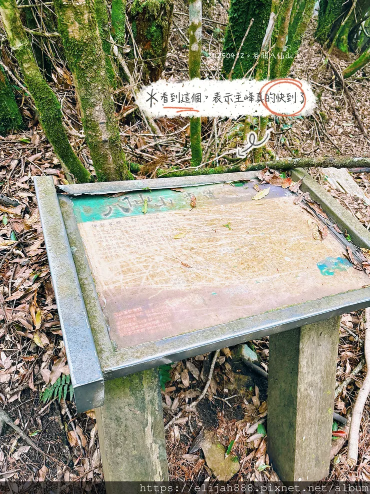 【谷關健行/住宿】谷關七雄老大。海拔2366公尺八仙山主峰。