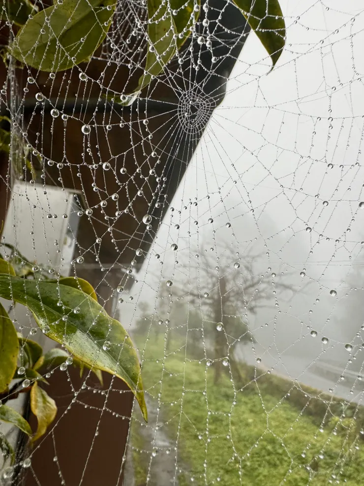 這一張水晶網做「水晶披肩」