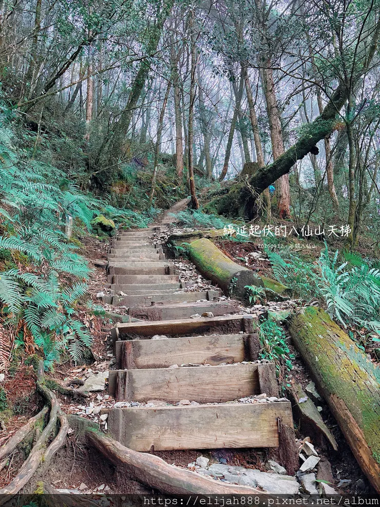 【谷關健行/住宿】谷關七雄老大。海拔2366公尺八仙山主峰。