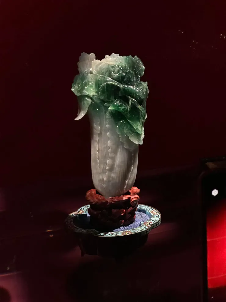 首次立正站好的翠玉白菜