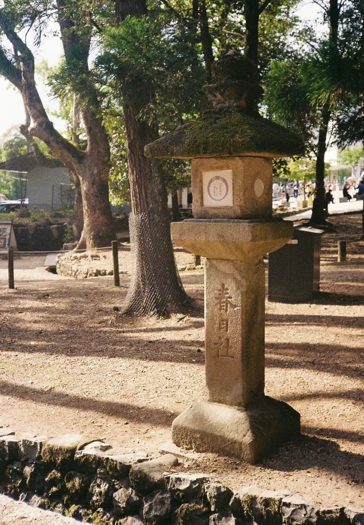 ＃幫常夜燈拍了一張底片(🎞️Gold 200)