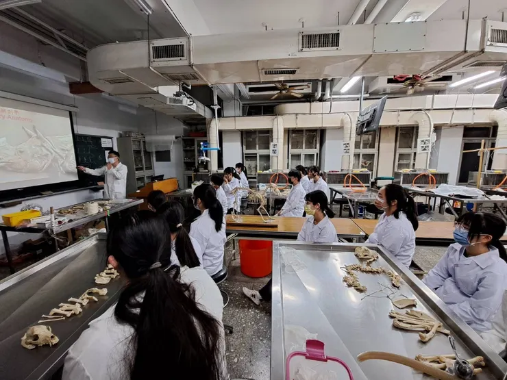 解剖學概論、認識骨標本